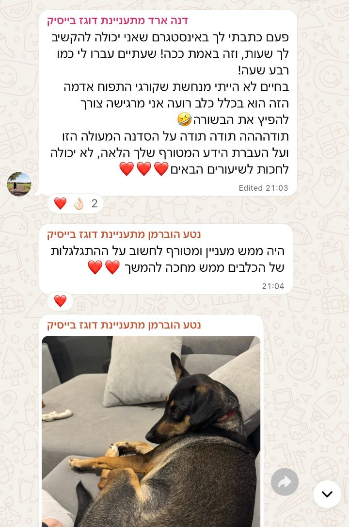 פידבק מבוגרת הסדנה