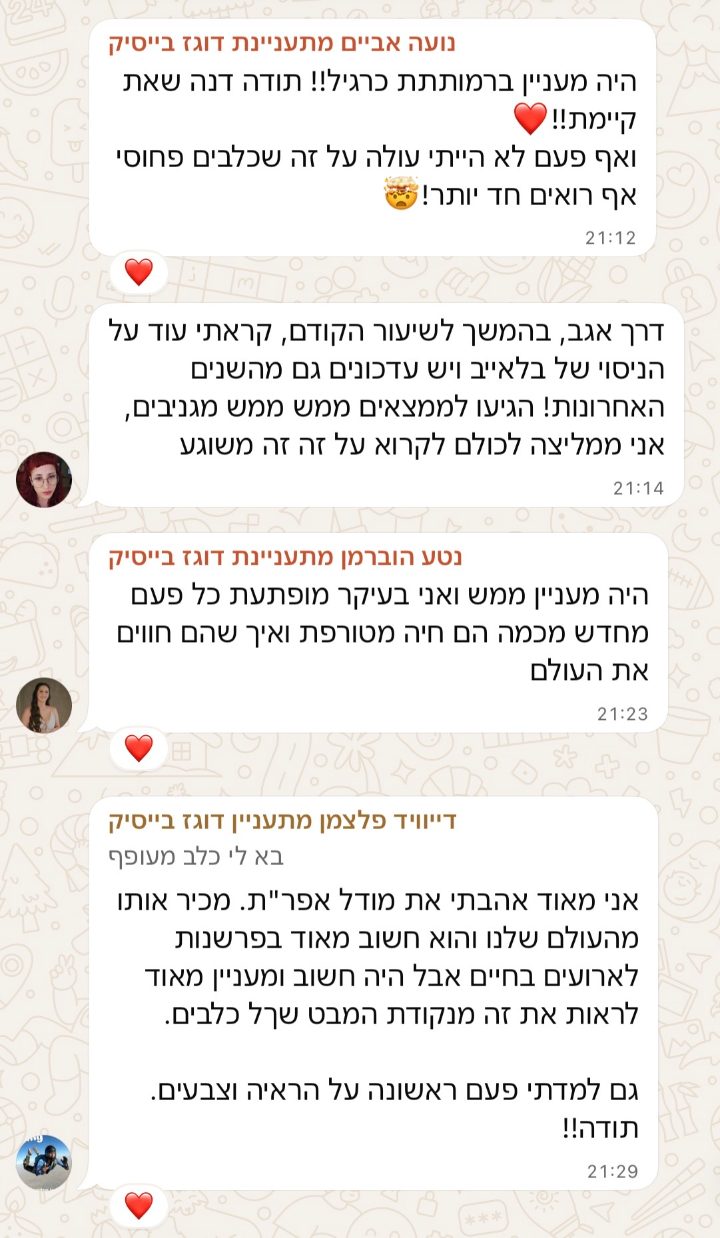 פידבק מבוגרת הסדנה