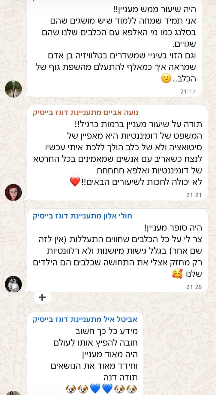 פידבק מבוגרת הסדנה