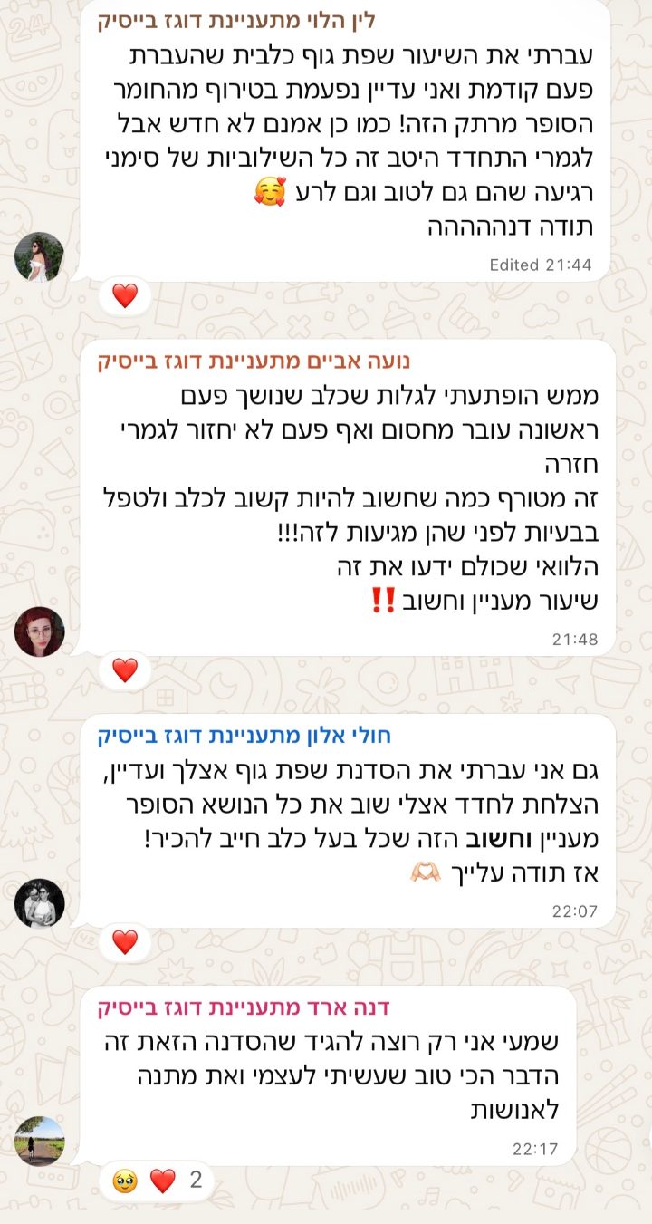 פידבק מבוגרת הסדנה