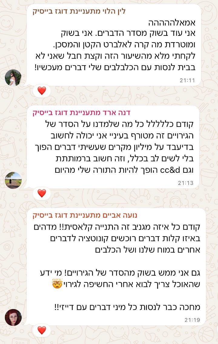 פידבק מבוגר הסדנה